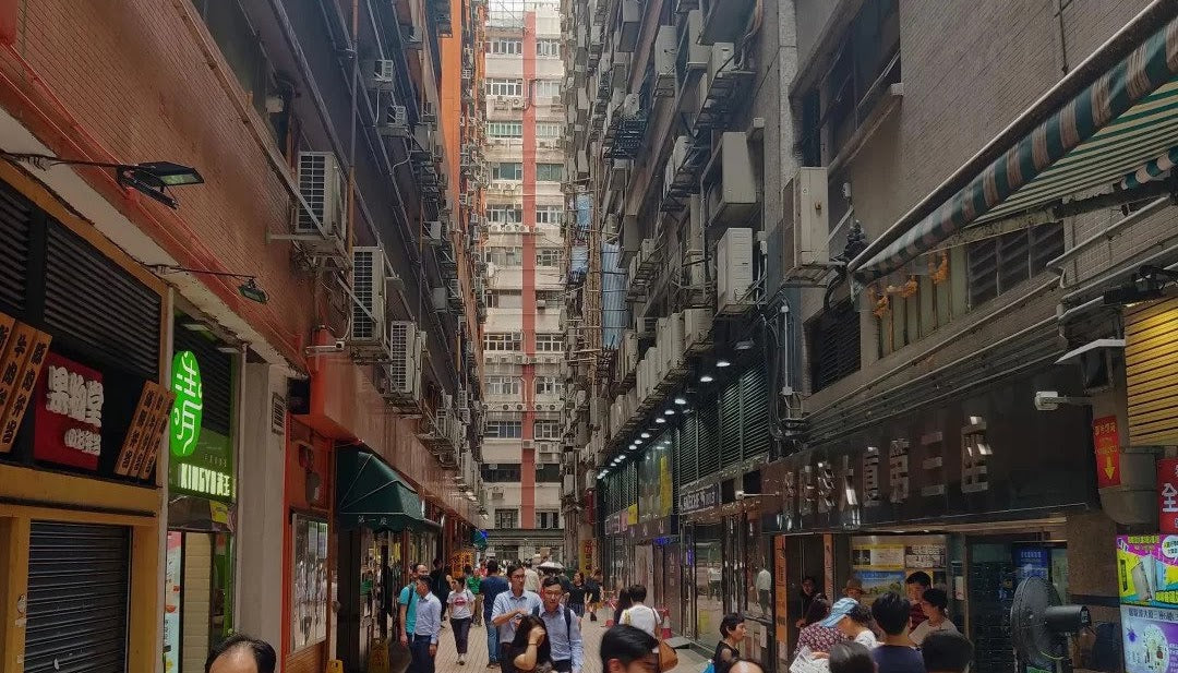 The Ultimate Guide to Camel Paint Building