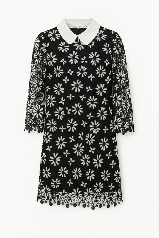 Black Lace Floral Collar Dress - GREENIES