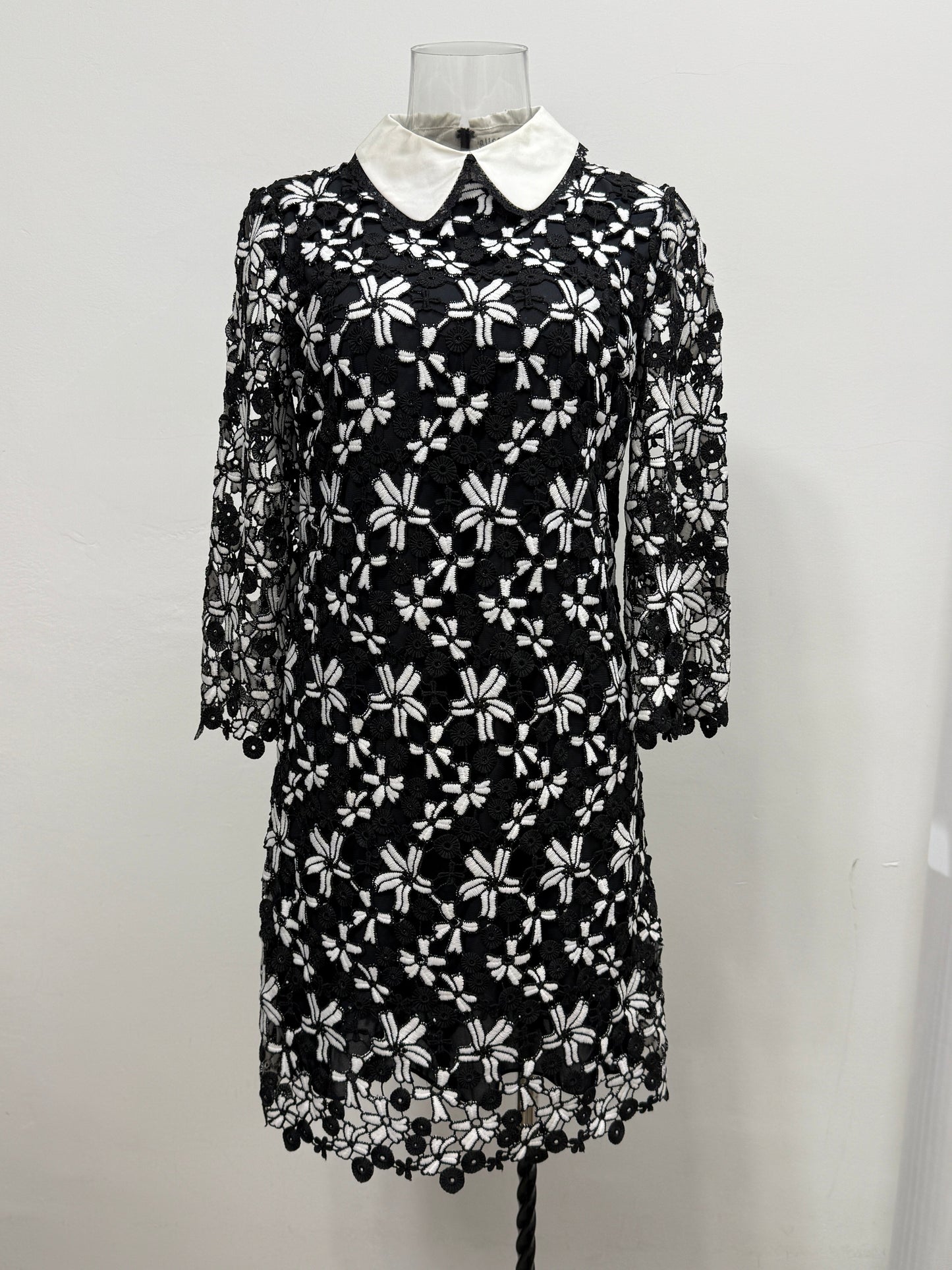Black Lace Floral Collar Dress - GREENIES