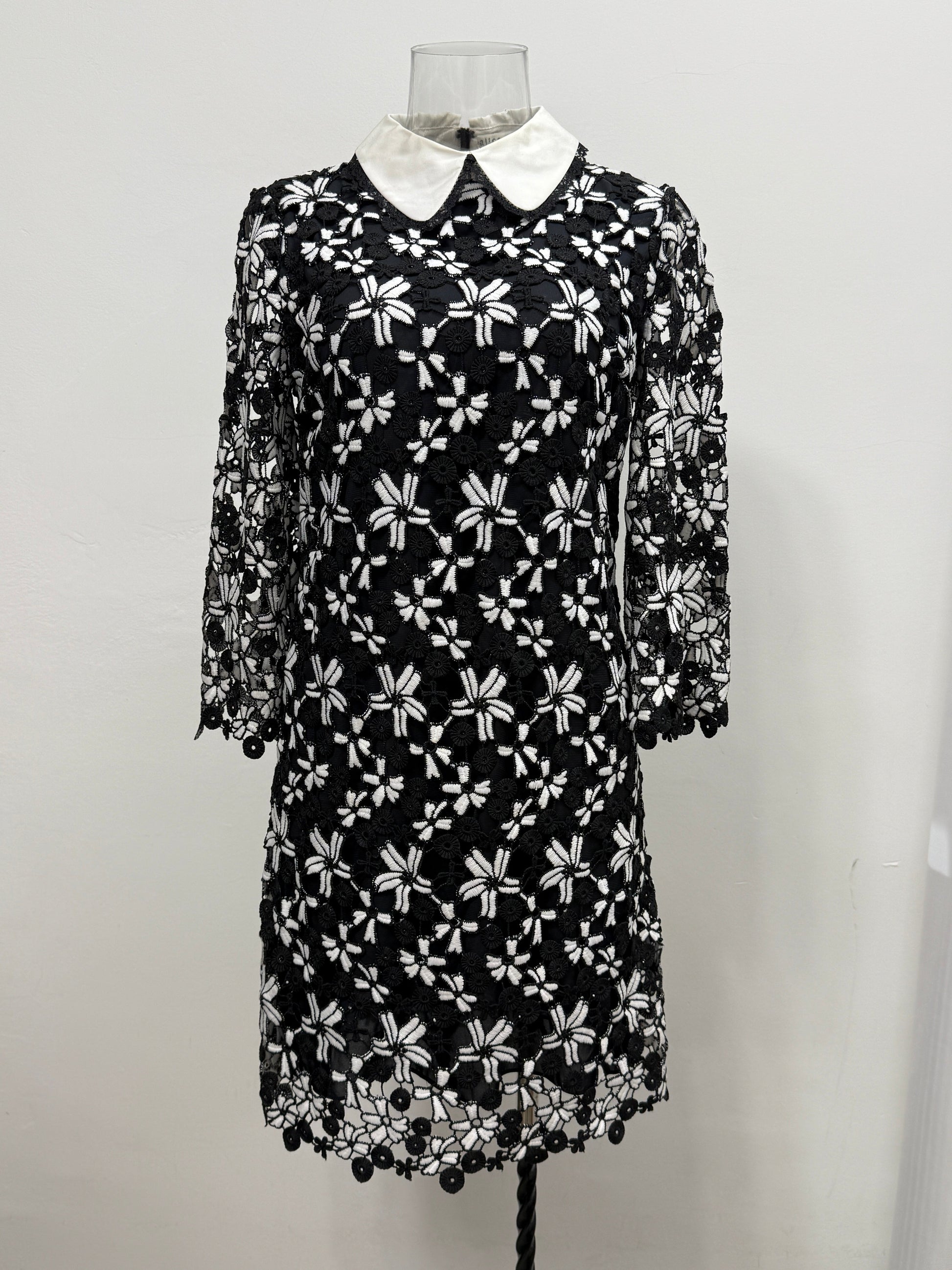 Black Lace Floral Collar Dress - GREENIES