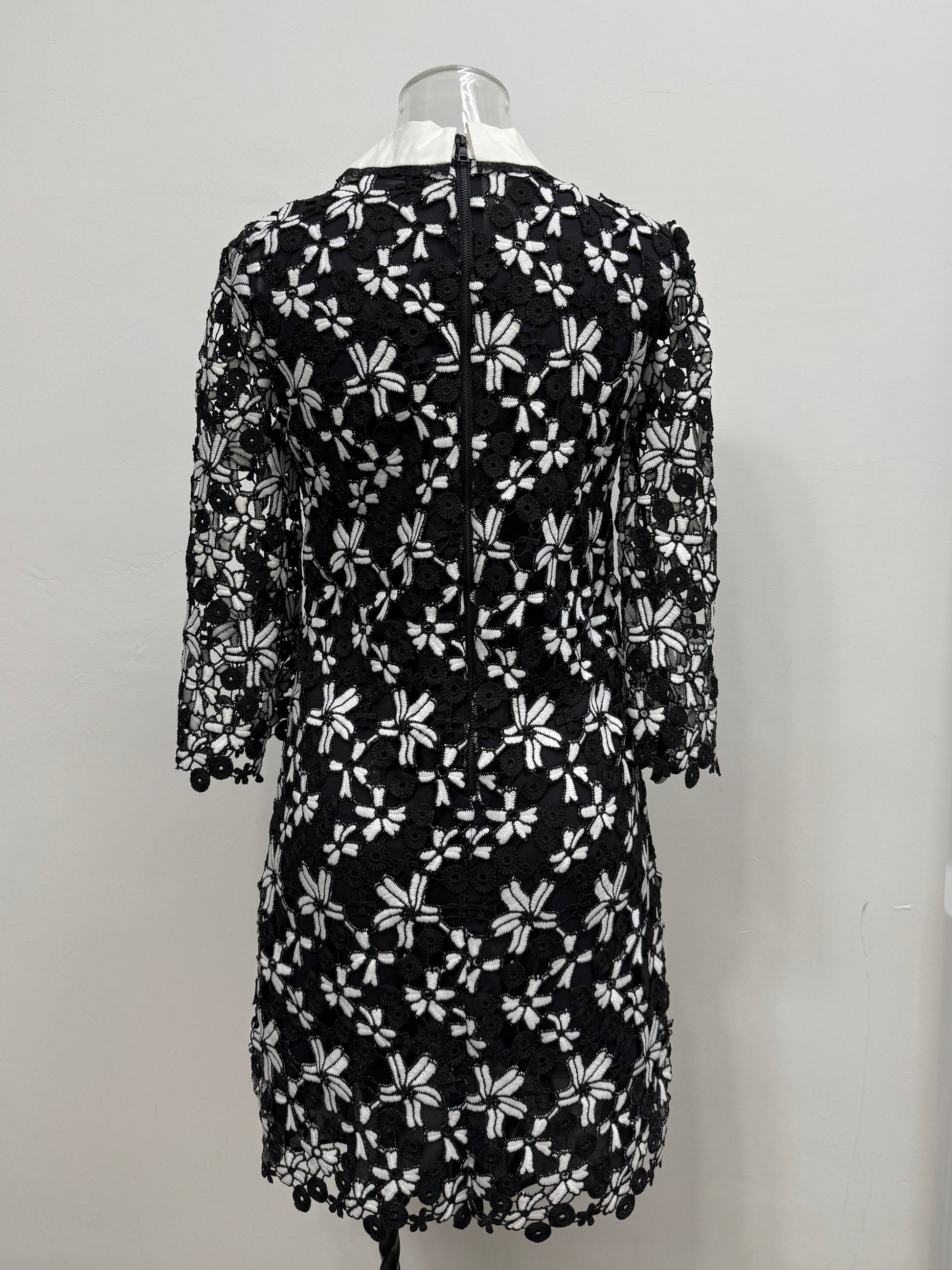Black Lace Floral Collar Dress - GREENIES