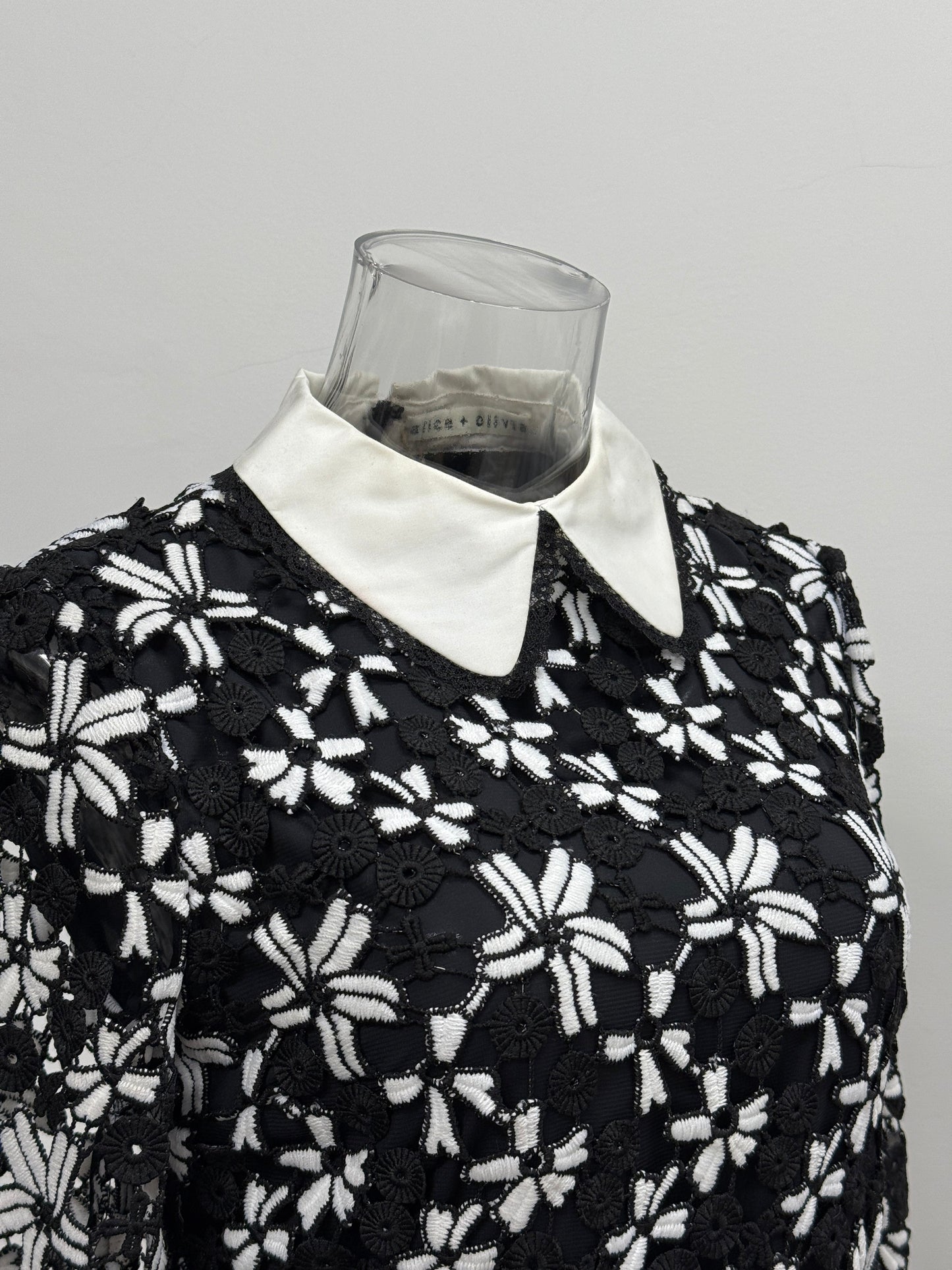 Black Lace Floral Collar Dress - GREENIES